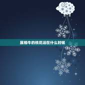 属相牛的桃花运在什么时候，属牛的今年有桃花运吗