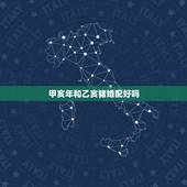 甲亥年和乙亥猪婚配好吗，同年属相猪和猪合婚好吗