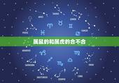 属鼠的和属虎的合不合，属虎和属鼠的合不合？