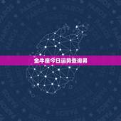 金牛座今日运势查询男，金牛座〈男〉每天运势