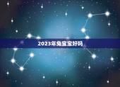 2023年兔宝宝好吗，2023年黑兔年适合生孩子吗