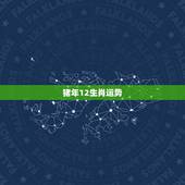 猪年12生肖运势，2009猪年运程