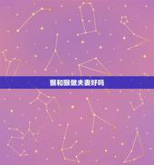 猴和猴做夫妻好吗，属猴的和属鸡的做夫妻有什么忌讳