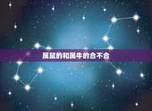 属鼠的和属牛的合不合，属鼠的和属牛的在一起适合吗？