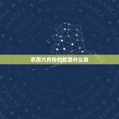 农历六月份的蛇是什么命，农历六月属蛇的命