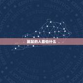 属鼠的人最怕什么，属鼠和猫物品相克吗