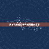 属羊女头胎见子有刑是什么意思，91年属羊女有儿子命吗