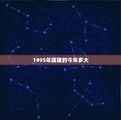 1995年属猪的今年多大，属猪的今年多大了