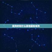 属狗的和什么属相最配相克，属鼠女的和什么属相最配
