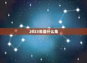 2023年是什么兔，2023年是金兔还是木兔
