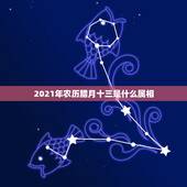 2021年农历腊月十三是什么属相，2021年今天属什么生肖？