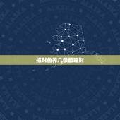 招财鱼养几条最旺财，听说养鱼能招财，1973年3日13日的人最好养几条