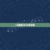 12属相2022年运势，2022年生肖属马人流年运程