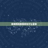 属相狗和属相龙生什么宝宝，男性属龙的最佳配偶