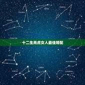 十二生肖虎女人最佳婚配，女虎的最佳配偶是什么