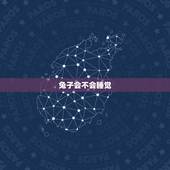 兔子会不会睡觉，蹦跶一天的兔子晚上能睡着吗