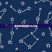 属虎的适合做什么行业，74年属虎的适合干什么行业的工作，谢谢最适合虎女