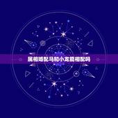 属相婚配马和小龙能相配吗，属龙人和什么属相不合