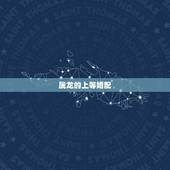 属龙的上等婚配，龙和什么是上等婚姻