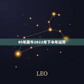 85年属牛2022年下半年运势，85年属牛人2022年运势及运程