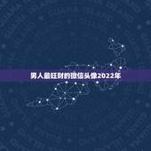 男人最旺财的微信头像2022年，用动漫头像的女生性格