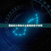 属蛇的父母生什么属相的孩子好呢，属蛇父母生属什么宝宝最好