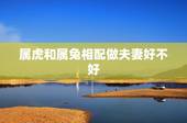 属虎和属兔相配做夫妻好不好，男属虎女属兔婚姻状况