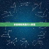 求签婚配凤凰行人即至，解签，凤凰一对正相宜 财善婚姻莫虑迟 休道神明无