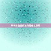 八字排盘里的地势是什么意思，八字中地势是什么意思