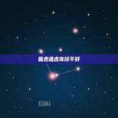 属虎遇虎年好不好，属虎逢鼠年运程