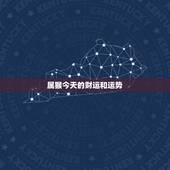 属猴今天的财运和运势，属猴人今日打牌财运