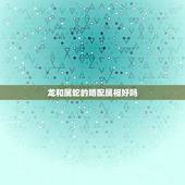 龙和属蛇的婚配属相好吗，属龙和属蛇的婚配合吗？