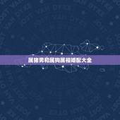 属猪男和属狗属相婚配大全，属猪的人和什么属相最配 属猪的属相婚配表