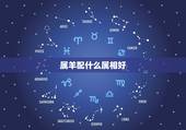 属羊配什么属相好，属羊人婚配大吉属相是哪些