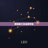 摩羯座六月运势学业，摩羯座6月17日学业运势查询