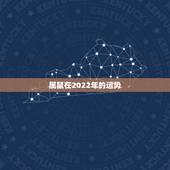 属鼠在2022年的运势，2021属鼠人全年运势女