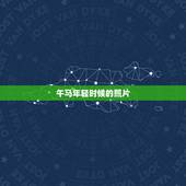 午马年轻时候的照片，明星午马照片