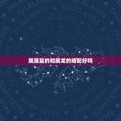 属属鼠的和属龙的婚配好吗，属鼠跟属龙相配吗