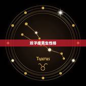 双子座男生性格，双子座男生性格特点是什么