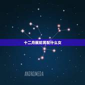 十二月属蛇男配什么女，属蛇人2022 年全年运势
