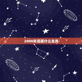 2000年是属什么生肖，2005年是属什么生肖