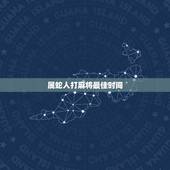属蛇人打麻将最佳时间，适合打麻将的生肖