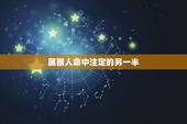 属猴人命中注定的另一半，每个人都有命中注定的另一半 是这样吗？