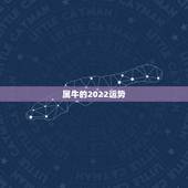 属牛的2022运势，属牛女2021年运势及运程每月运程