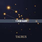 11月属马运势，2014属马11月12月运势