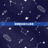 婚姻相合是什么意思，婚姻 成合 是什么意思