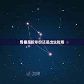 属相是按年份还是出生时辰，属相指的是年份还是时辰