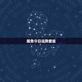 属免今日运势查询，今天属兔运程怎样