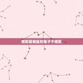 婚配属相鼠和兔子不婚配，属鼠和属兔相配吗 详细�0�3