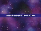 龙跟猪属相配吗男龙1988女猪1995，属相婚配：男属龙和女属猪相配吗